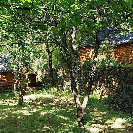 Natur'Anes Mialet  Exterior foto