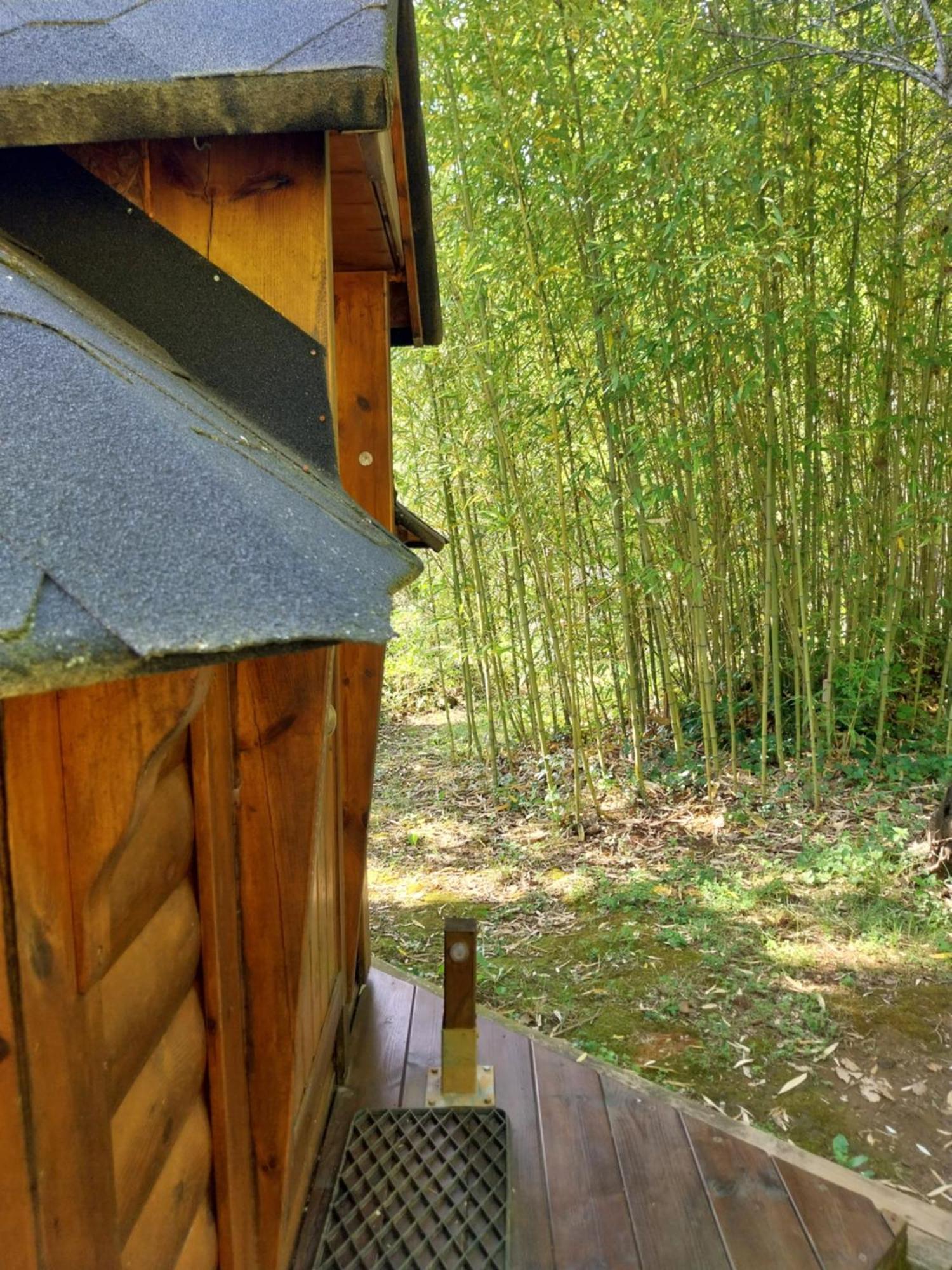 Natur'ânes * Mialet (Gard)