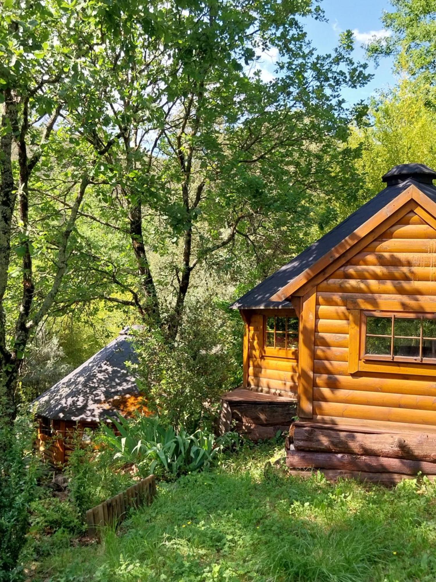 Natur'ânes Chalet