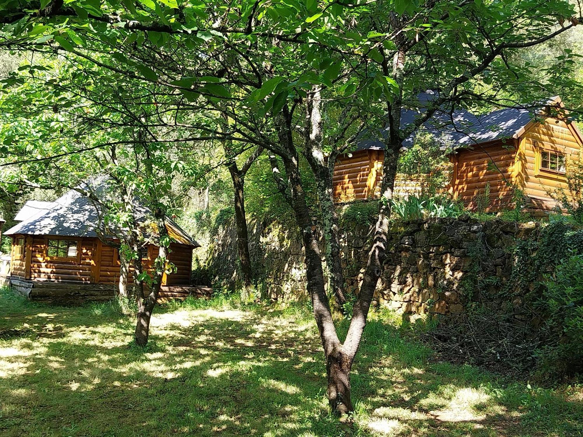 Chalé Natur'ânes *