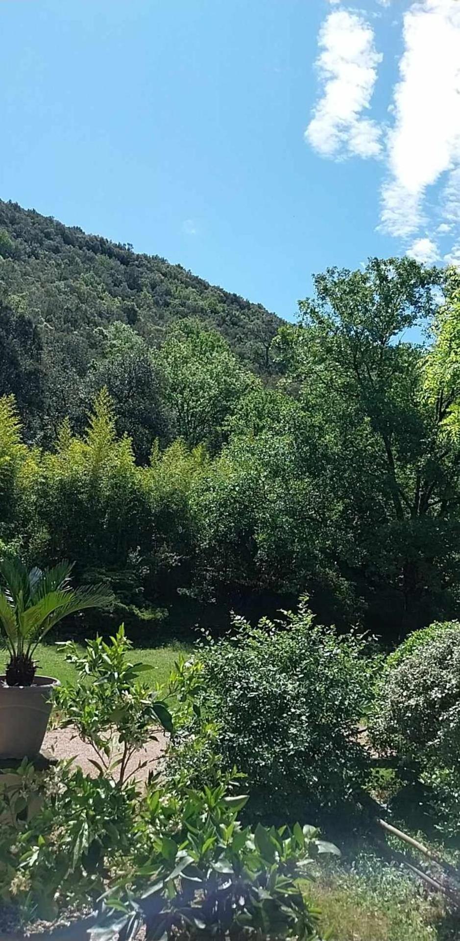 Natur'ânes