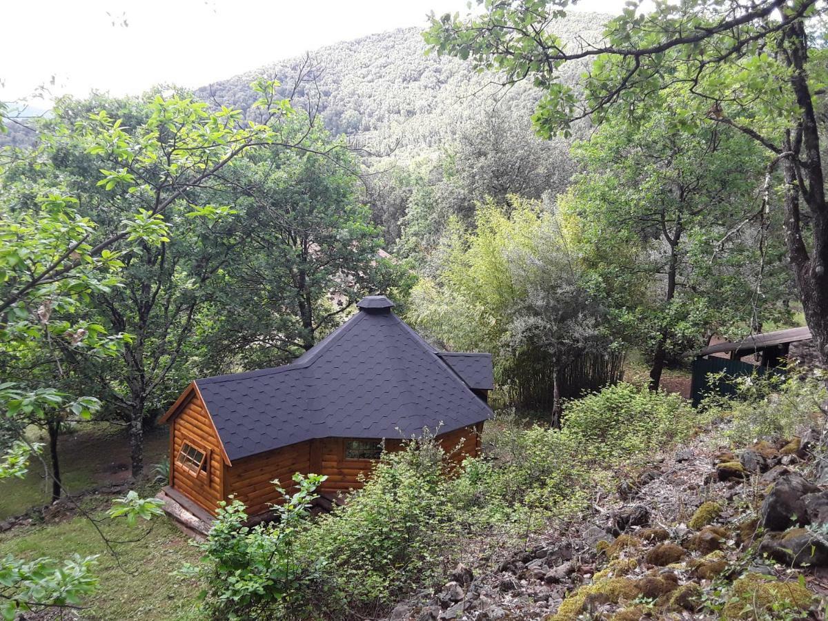 Chalé Natur'ânes
